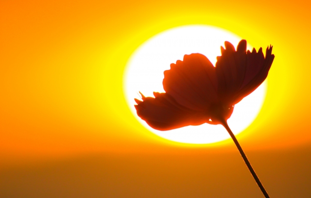 神さまはきれい好き 家の汚れは心の乱れ 白い色で運気を上げる 誰でも簡単に風水で幸せになる方法