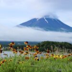 2022年のラッキーカラー！色が持つ気と意味