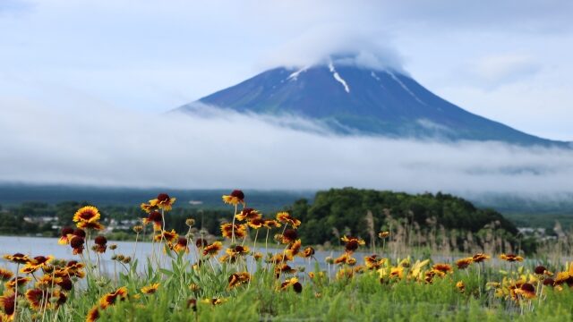 2022年（令和4年）のラッキーカラー