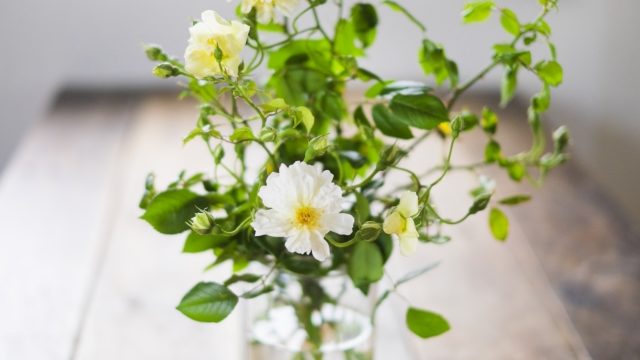 テーブルに白い花