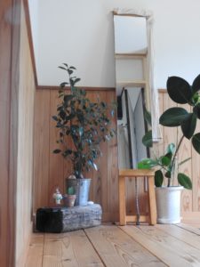 鏡と観葉植物